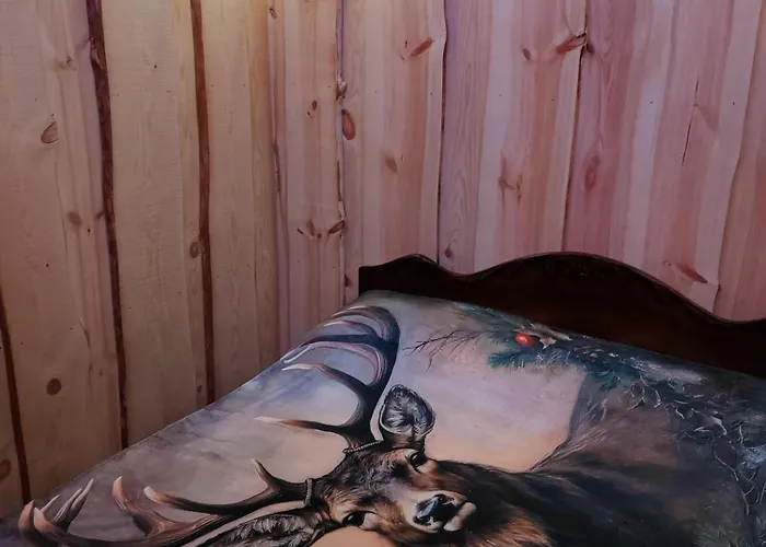 Puumajamajoitus Maaseudulla