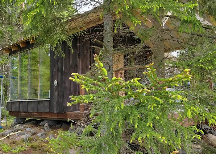 Puumajamajoitus Maaseudulla *